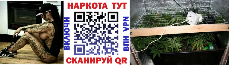 Наркота Починок СК Амфетамин Каннабис Кокаин Галлюциногенные грибы ГАШИШ
